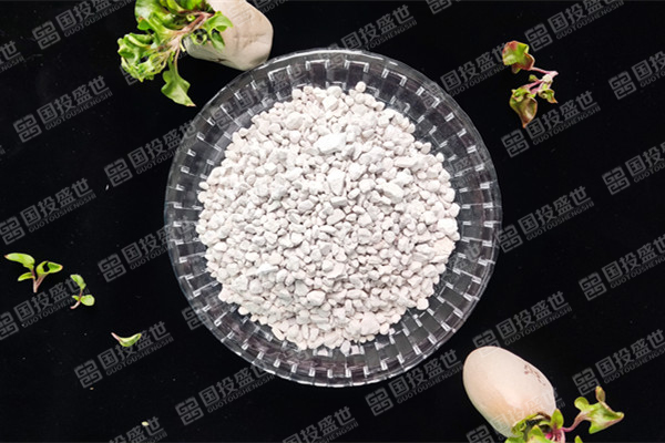 沸石在環境修復中的作用有什么？-國投盛世