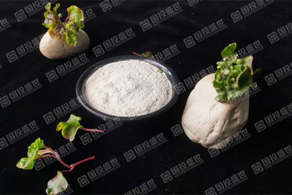 目前沸石飼料添加劑價(jià)格是多少？
