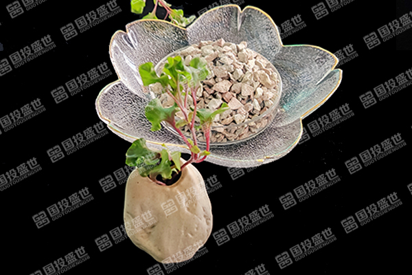 沸石在水產(chǎn)養(yǎng)殖業(yè)中的革新應(yīng)用及其環(huán)保效益探討-國(guó)投盛世