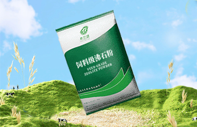 沸石產(chǎn)品與服務-國投盛世