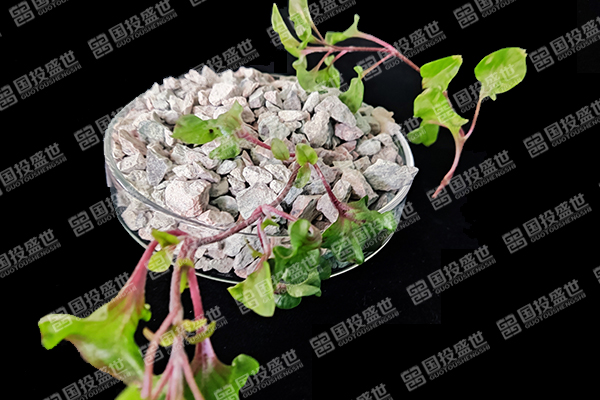 天然沸石于夏季應(yīng)用價(jià)值-國(guó)投盛世