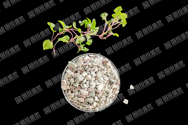 沸石能否成為草莓種植的好幫手？-國投盛世