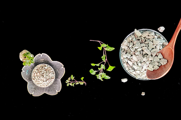 養(yǎng)驢時添加沸石有何益處？-國投盛世