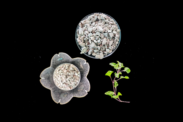 種植蓮藕時加入沸石能提高產(chǎn)量嗎？-國投盛世