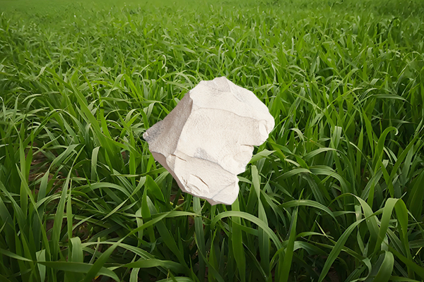 用天然沸石給燕麥種植是否能顯著提高產(chǎn)量？-國投盛世