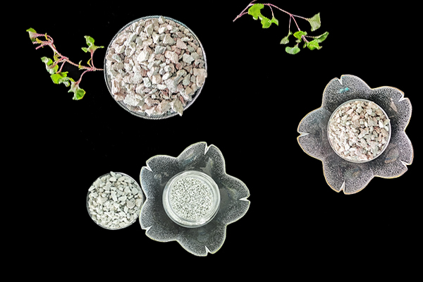 沸石能為芥菜增產(chǎn)提供幫助嗎？-國(guó)投盛世