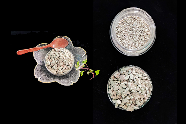 種植四季豆時(shí)加入沸石能提高產(chǎn)量嗎？